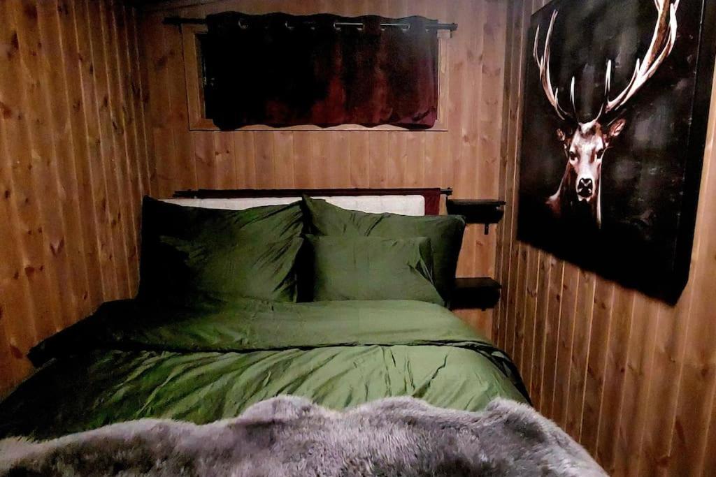 Cabin Aurora Borealis Sommarøy Kültér fotó